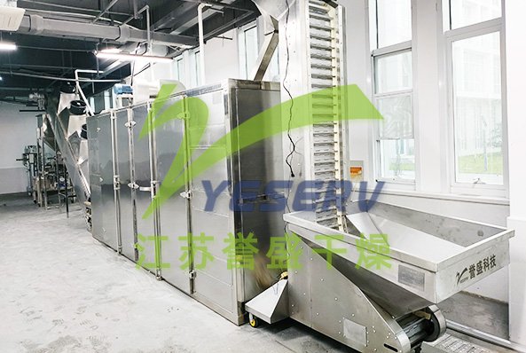 江苏尊龙凯时油料自动输送烘焙冷却脱皮生产线成功验收！